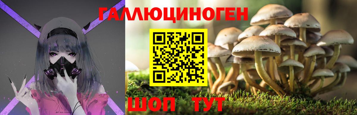 Псилоцибиновые грибы Cubensis Верхняя Салда